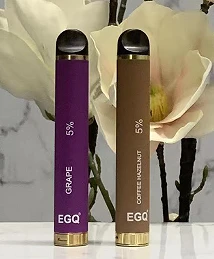 800 Puffs Disposable Vape With 550mAh Battery